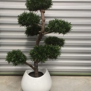 Arbres artificiels: l’alternative sans entretien