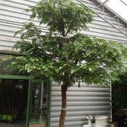 Arbres artificiels: l’alternative sans entretien