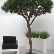 Arbres artificiels: l’alternative sans entretien