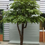 Arbres artificiels: l’alternative sans entretien
