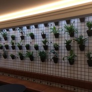 Hotel Portinari Bruge