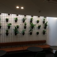 Hotel Portinari Bruge