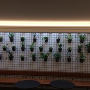 Hotel Portinari Bruge
