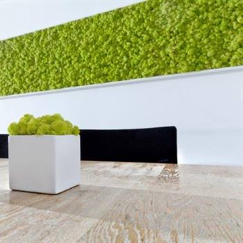 Green walls