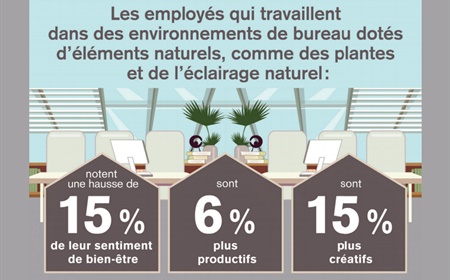 L'Impact du design biophilique dans les espaces de travail