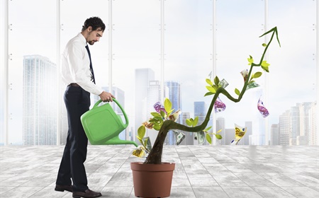 Hoe planten de productiviteit & creativiteit op kantoor verhogen?