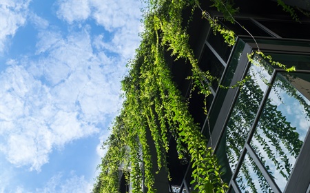 Dronken worden De vreemdeling Gladys Duurzame kantoorinrichting: kies voor planten en groen!