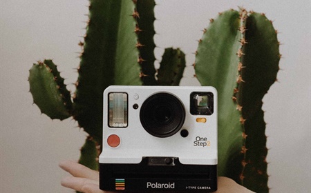 Passionné de plantes ? Suivez ces 10 comptes Instagram !