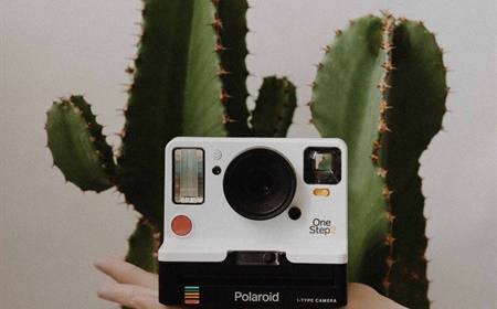 Gek op planten? Deze 10 instagram-accounts om te je volgen!