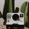 Passionné de plantes ? Suivez ces 10 comptes Instagram !