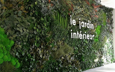 Jardin vertical : idéal pour votre entreprise