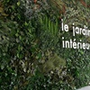 Jardin vertical : idéal pour votre entreprise