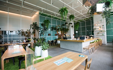 Planten in een coworking space