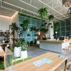 Des plantes dans un espace coworking