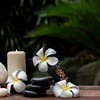 Wellness ruimte inrichten met planten? 