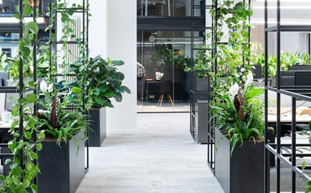 Mobiele groene plantenunits: ontdek onze verrijdbare plantenrekken en plantenwanden