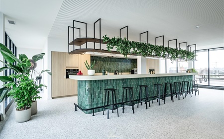 Plafondbeplanting: wat zijn de mogelijkheden?