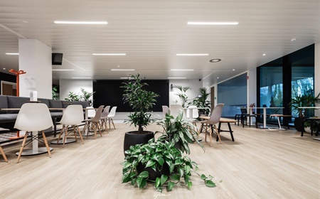 Comment améliorer l’acoustique au bureau grâce aux plantes ?