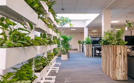 Cloisons végétales au bureau : tout ce que vous devez savoir