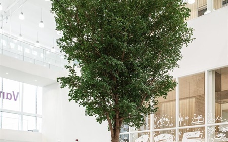 Découvrez notre concept de bureau végétalisé chez Vandemoortele