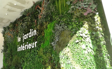 Planten aan de receptie: maak een sterke eerste indruk