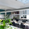 Quelles plantes choisir pour un bureau ouvert ?