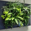 Un mur végétal au bureau: que des avantages !