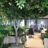 Plants for a healthier, open plan office