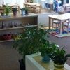 Plants at school