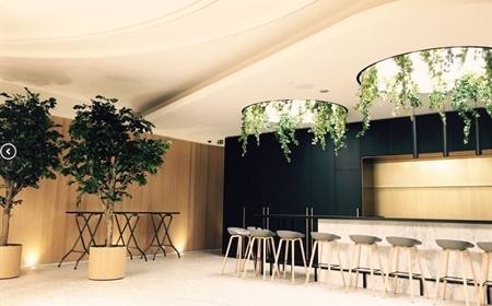 Enrichissez l'aménagement de votre bureau avec des plantes d’intérieur !