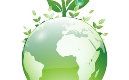 Earth Day: verfraai uw kantoor met een plant!