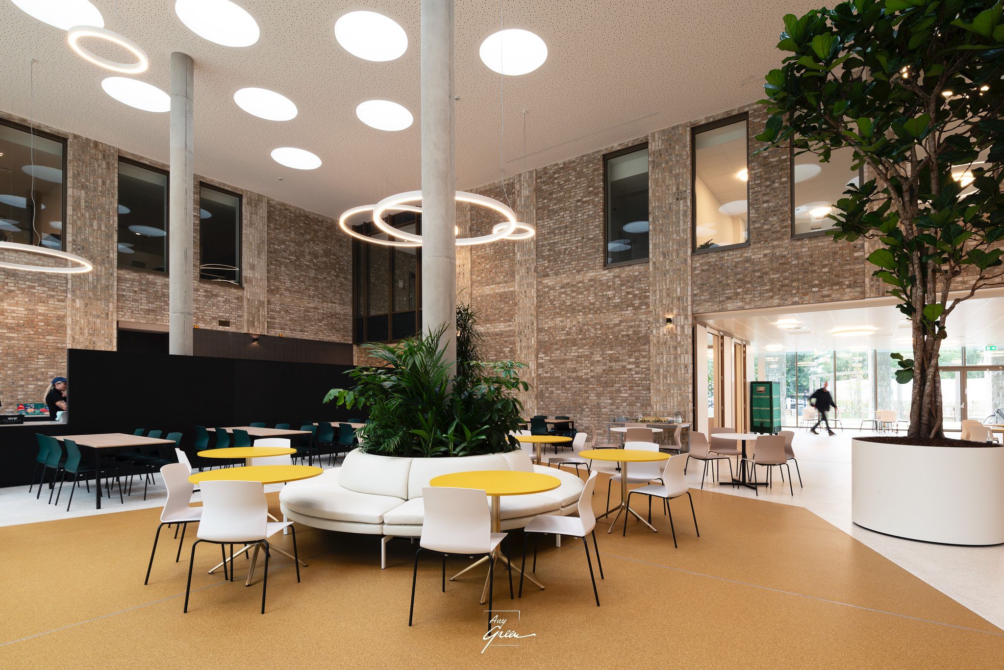 AZ Diest planteneiland