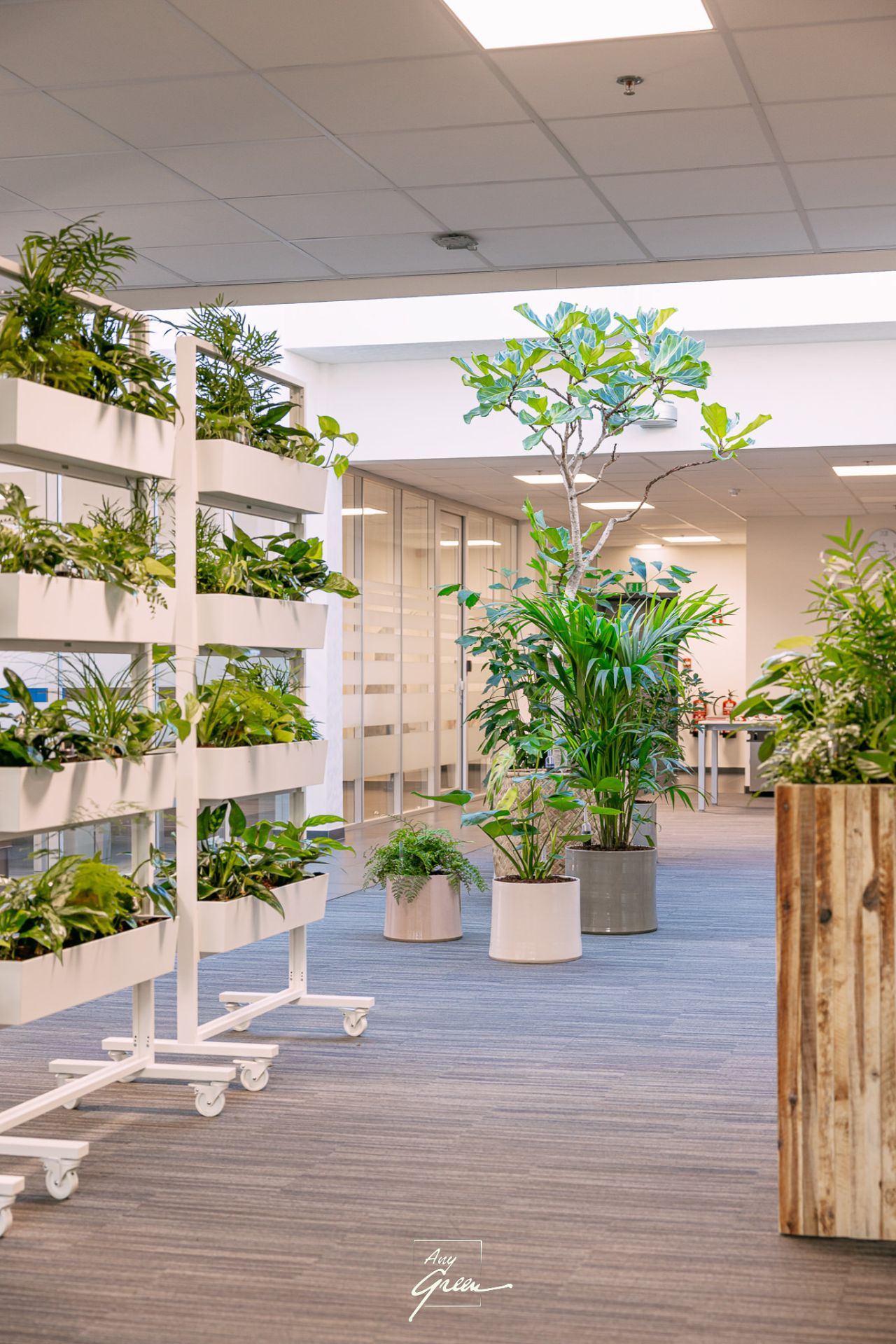 verrijdbaar plantenmeubilair