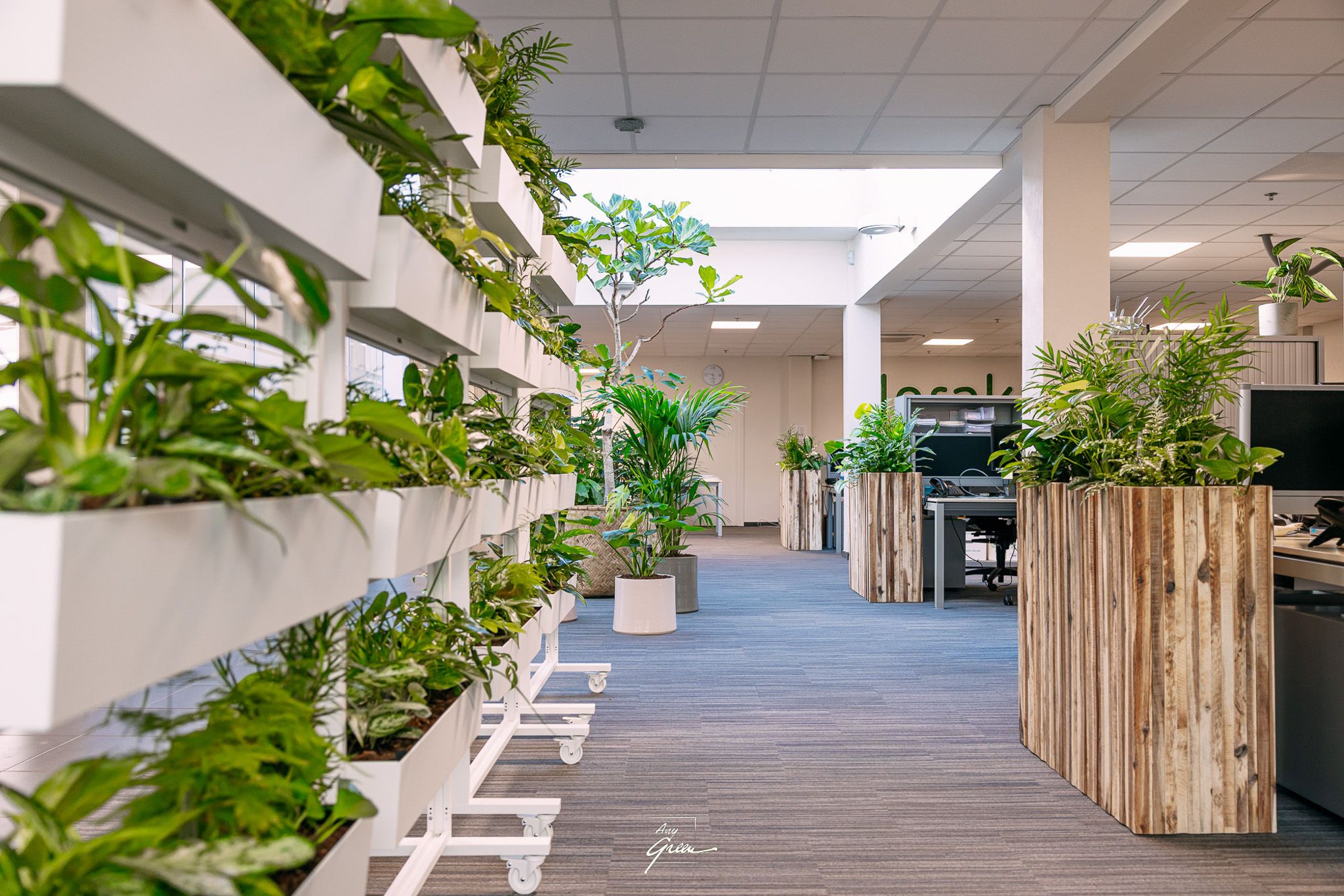 verrijdbare plantenrekken